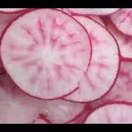 RABANITO