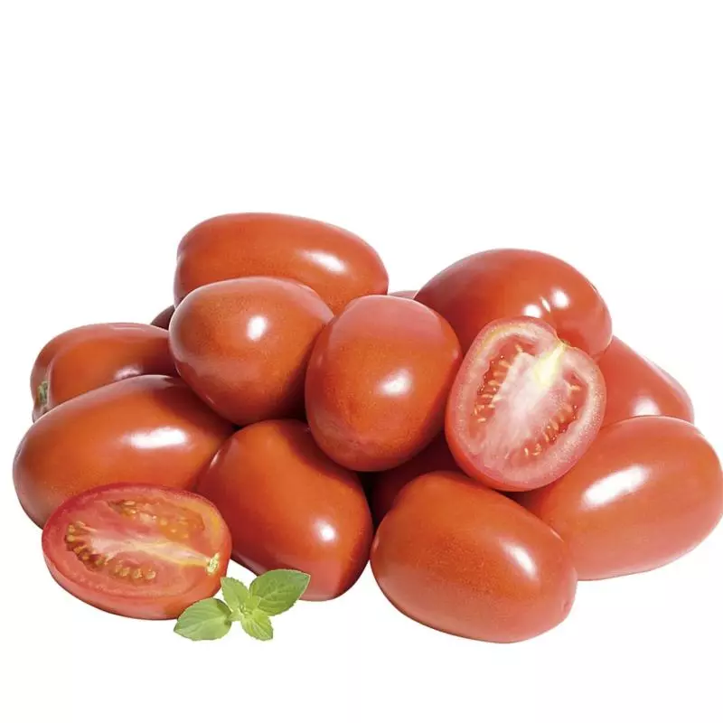 Tomate Italiano