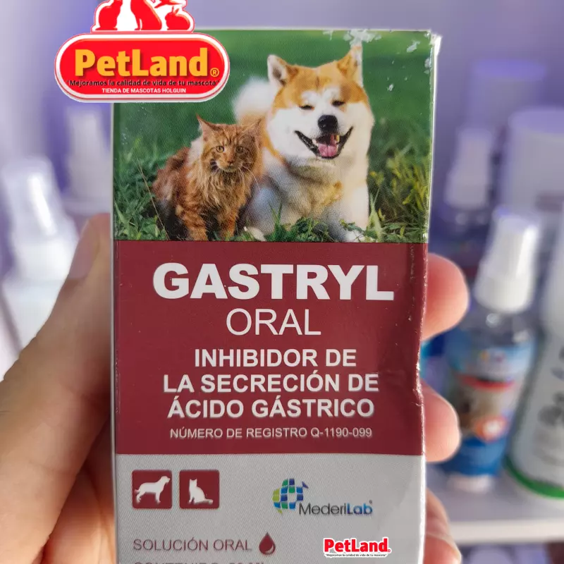 GASTRIL