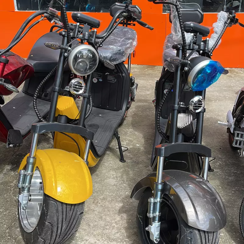 Modelo 11 - Motor 2.000W
