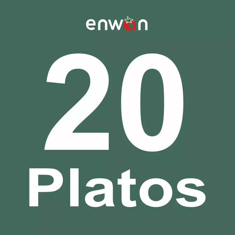 Paquete 4 semanas   para 1 Persona