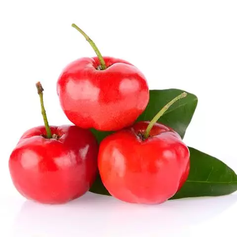 Vitamina de Acerola