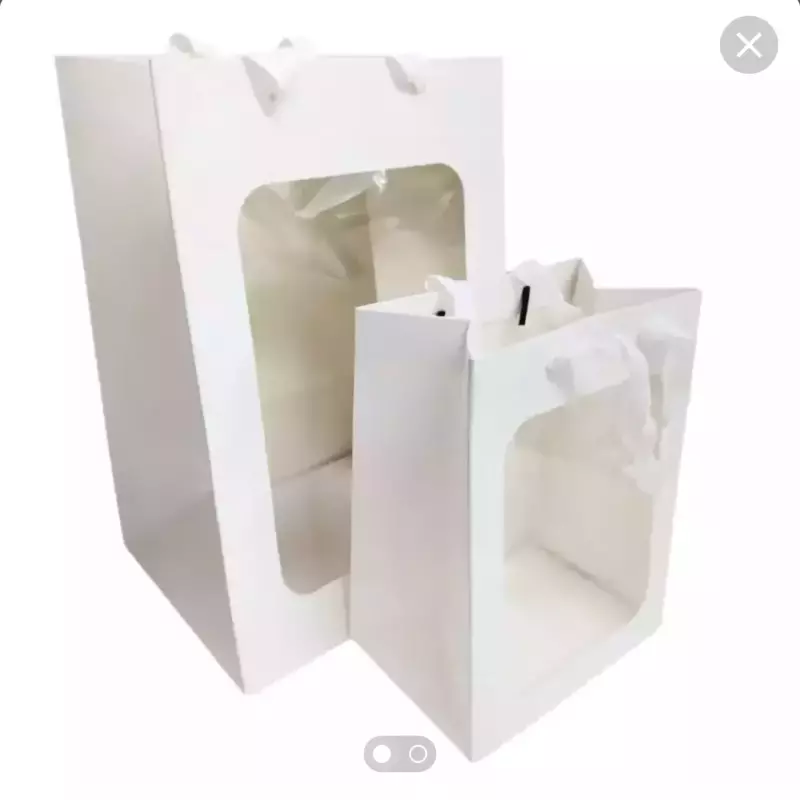 BOLSAS BLANCAS (CON VISOR ACETATO)