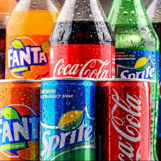 REFRESCOS COCA-COLA 355 ML