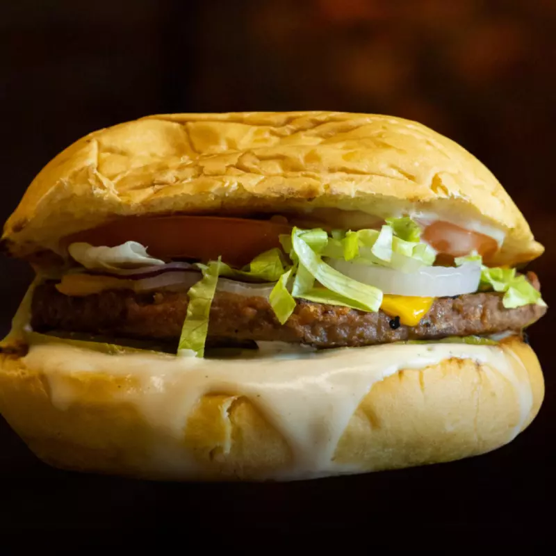 NOT CARNE 100% VEGGIE