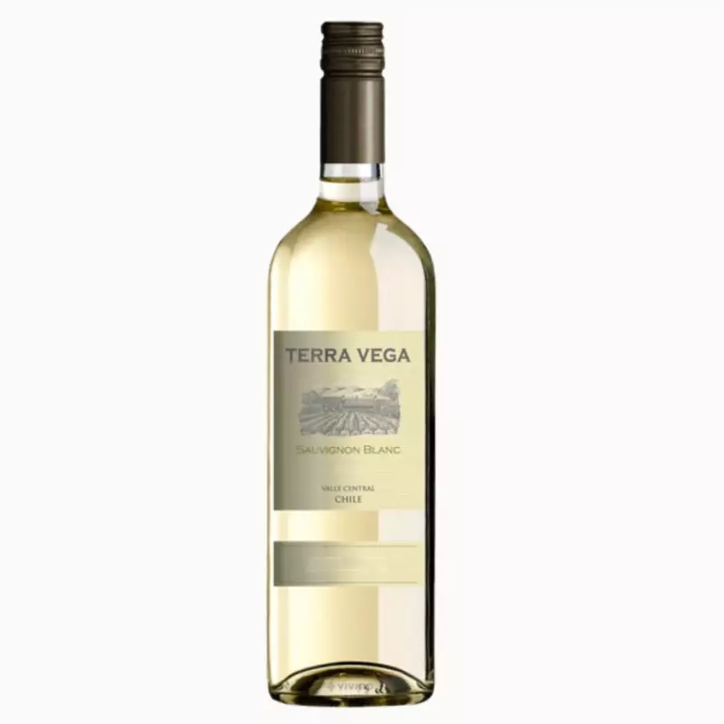 🇨🇱 TERRA SAUVIGNON BLANC