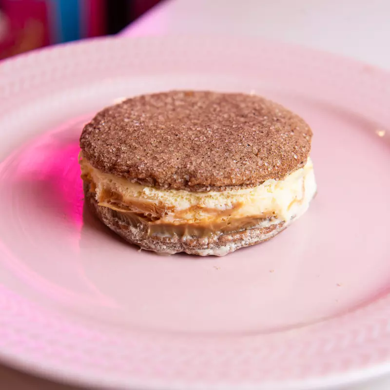 Ice Cream Sandwich Churros