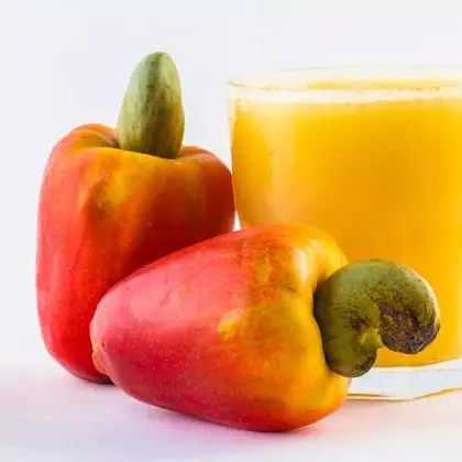 Suco Polpa 300ml