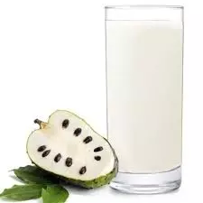 Suco natural graviola 500ml