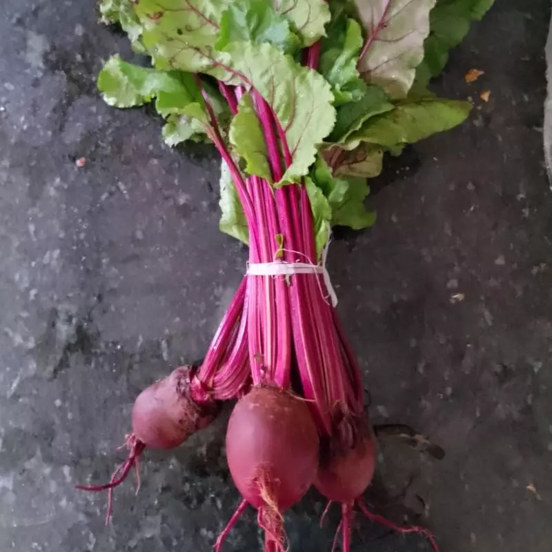 Beterraba com Folhas (Néia)