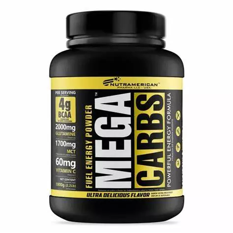 MEGA CARBS 1.6lb 19 SER