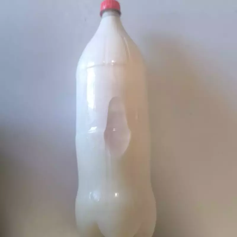 2 Litros de Leite natural congelado