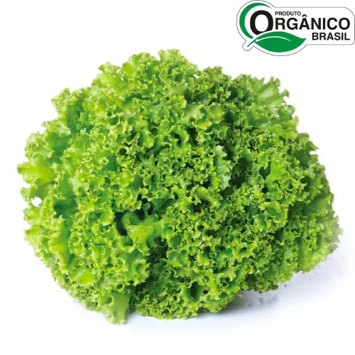 Alface Crespa Orgânico Un