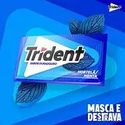 TRIDENT HORTELÃ