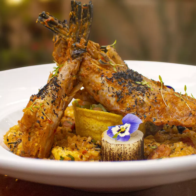 Baiacu Colombiano e Arroz Clavado