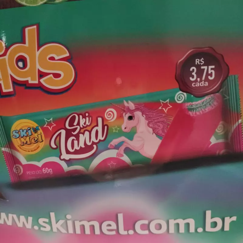SKI LAND