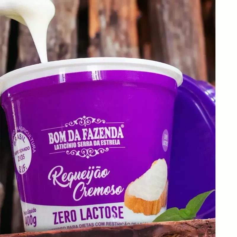Requeijão cremoso zero lctose
