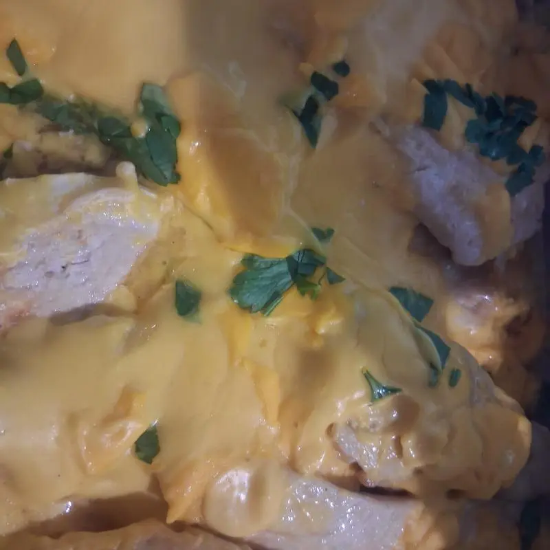 File de Frango Grelhado ao molho de