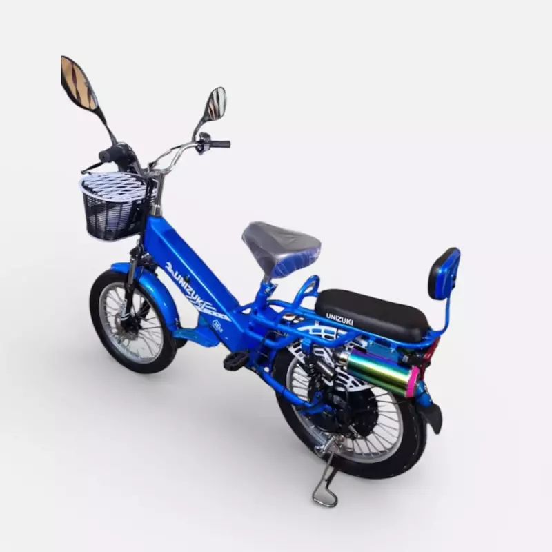 Bicicleta electrica