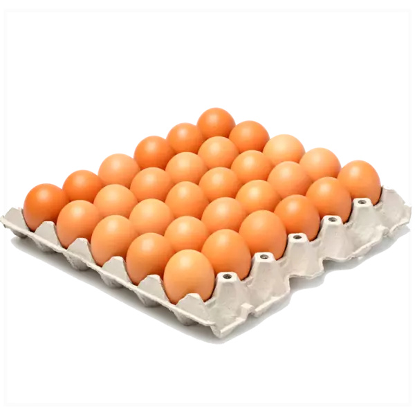 HUEVOS- PLANCHA