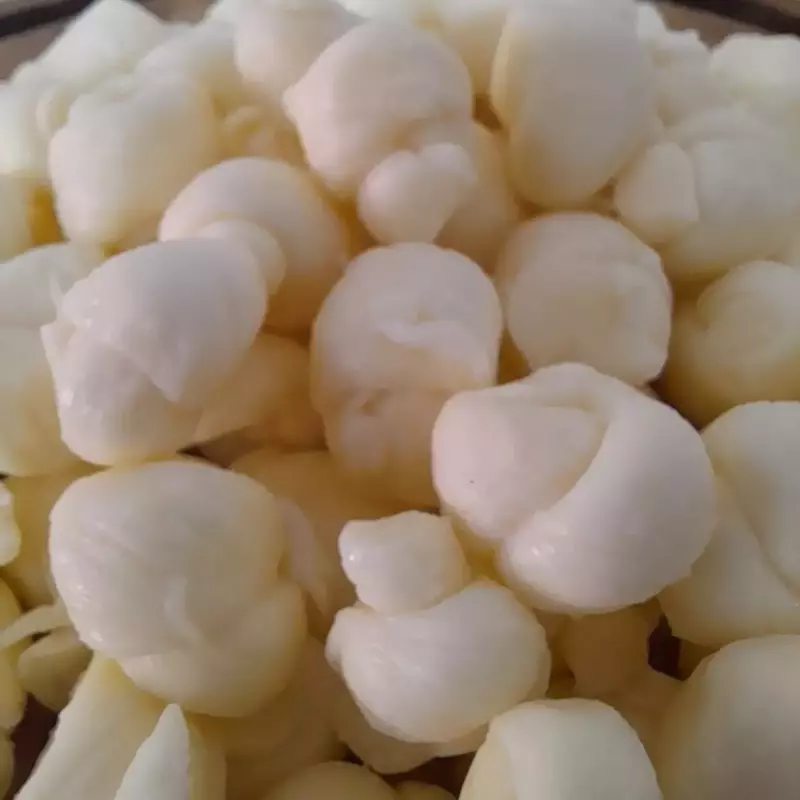Queijo Mini Nozinho 350g