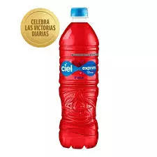 AGUA DE JAMAICA 500 ML