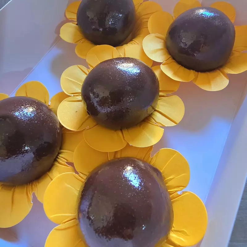 Girassol 🌻do amor 💘