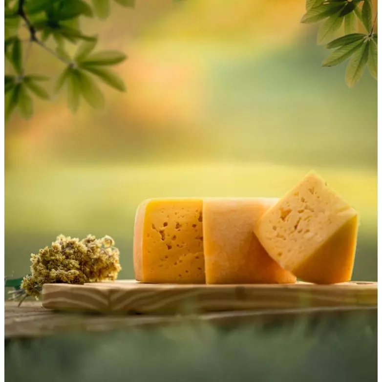 Queijo Colonial 500G