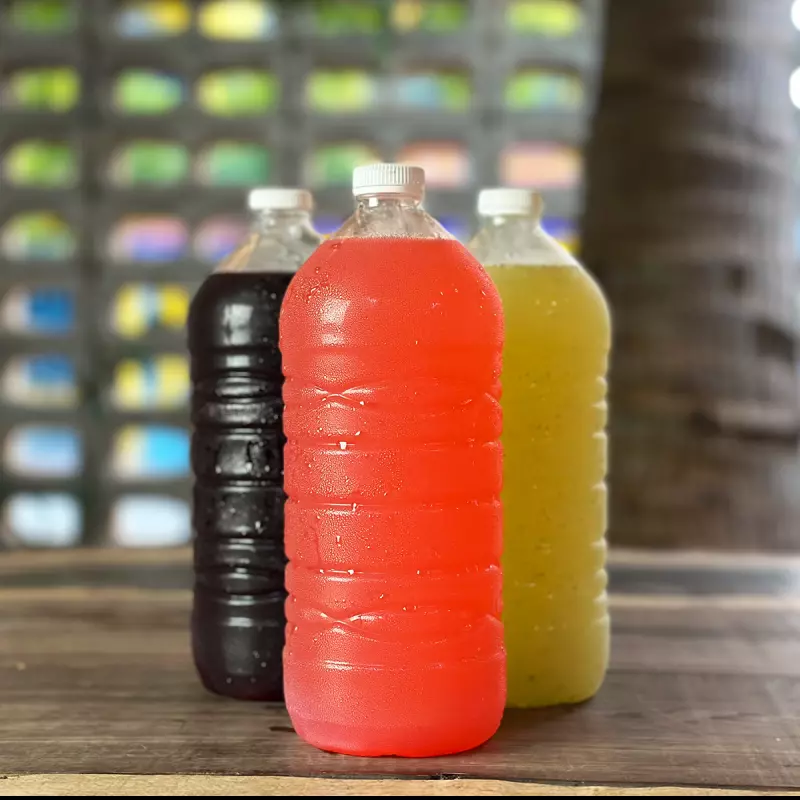 AGUA NATURAL 1LT