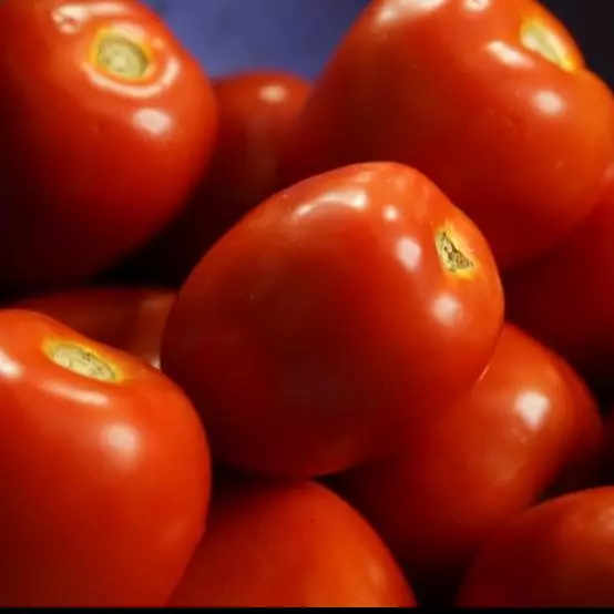 TOMATE ITALIANO INTEIRO