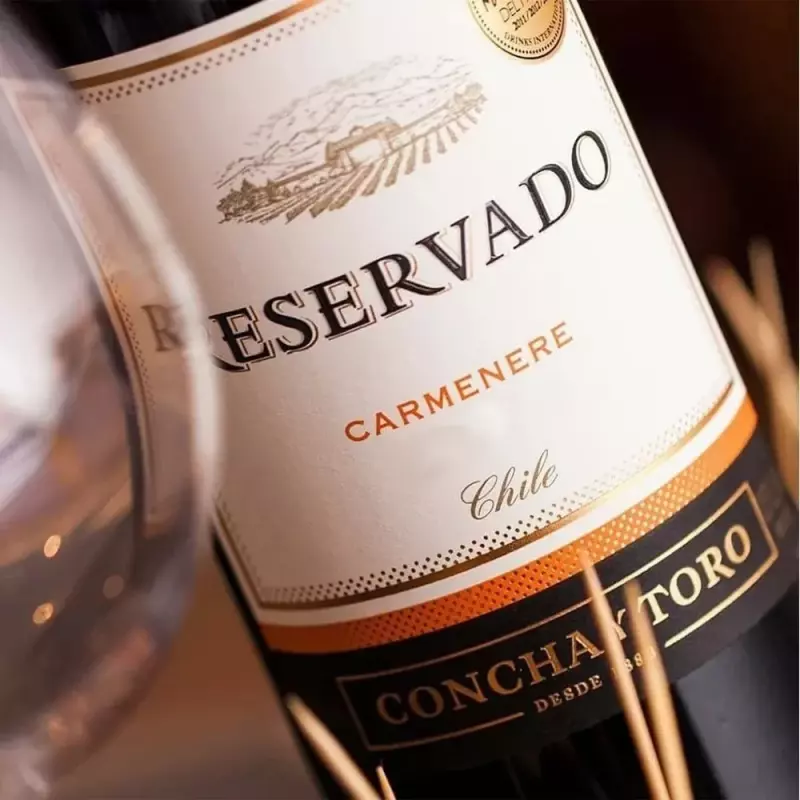 Vinho Concha Y Toro Carmenere