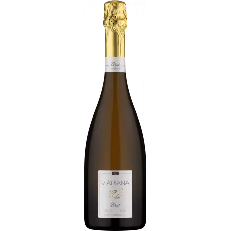 🇧🇷 Viapiana Brut Champenoise 192