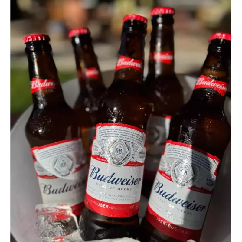 BUDWEISER COMBO 5 unid. 330ml