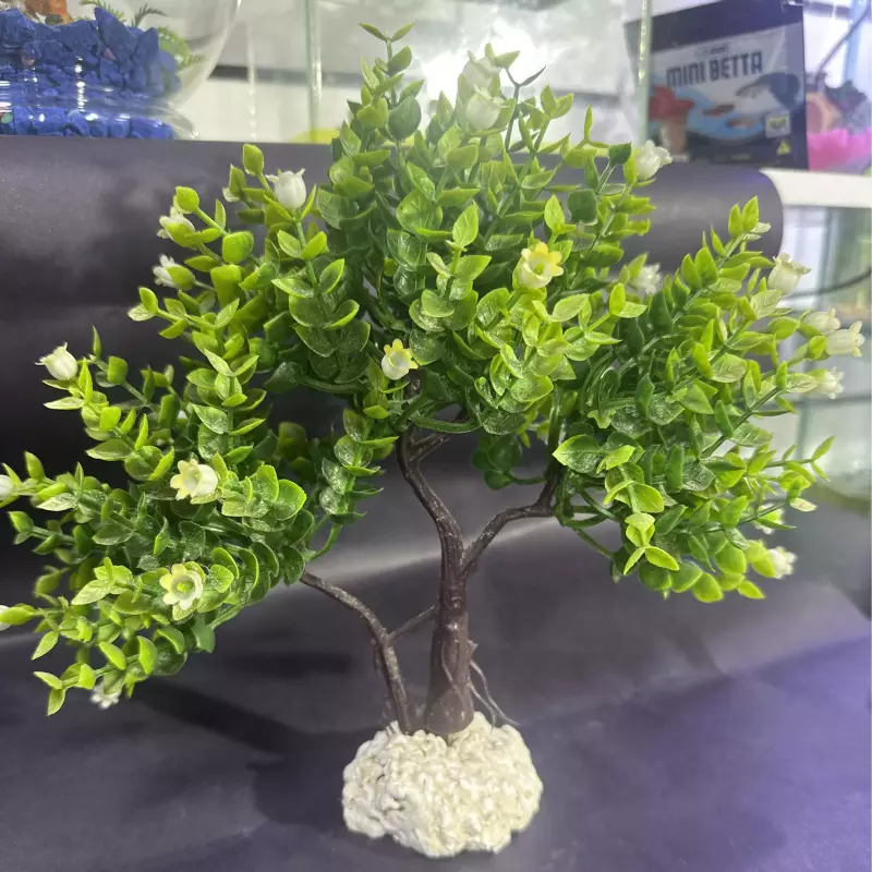 Árvore bonsai
