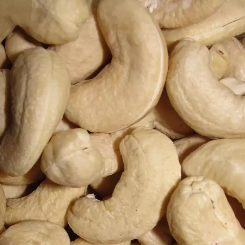 Castaña de Cajú W-4 entera