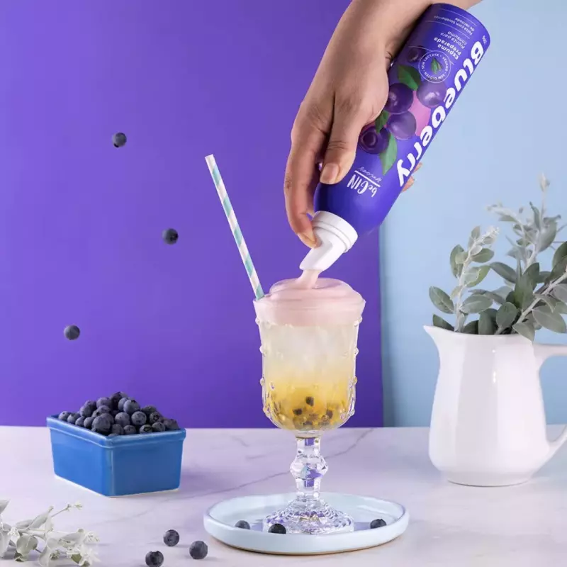 BEGIN BLUEBERRY 240G