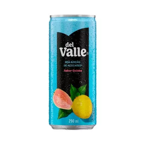 Suco Del Valle Néctar Goiaba 290ml