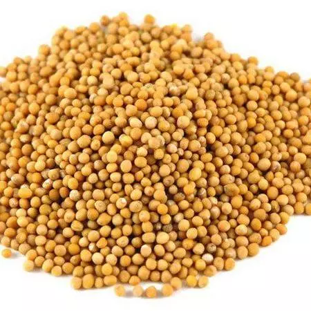 94 - Mostarda em Grãos (100g)