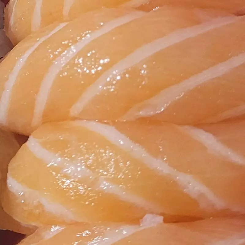 niguiri salmão