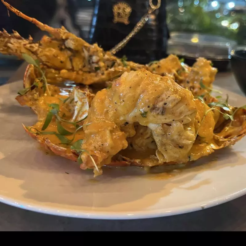 Langosta   -   Lobster