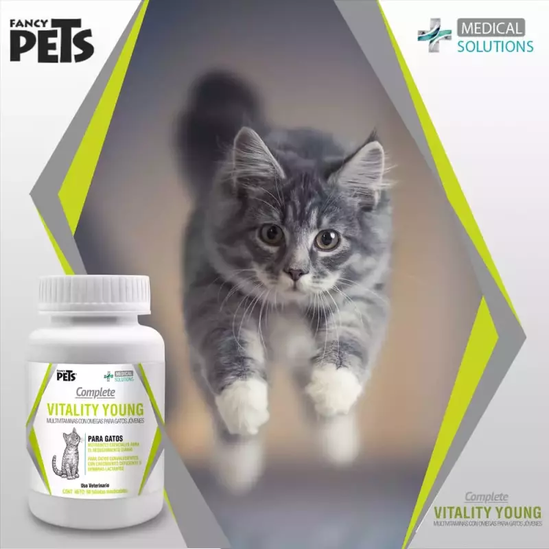 VITALITY PARA GATOS