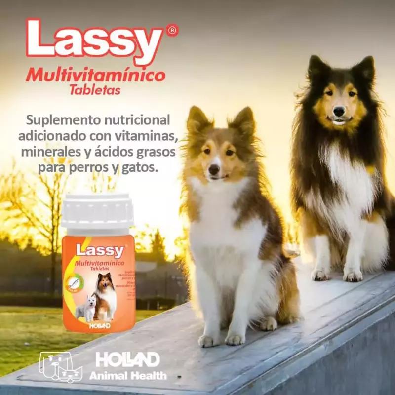 VITAMINAS LASSY