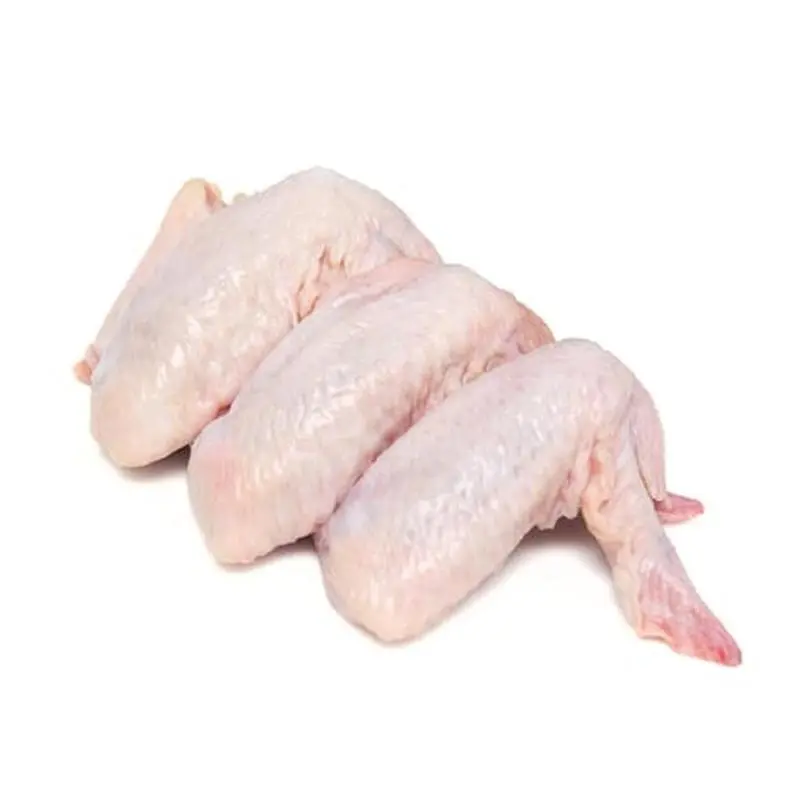 ALITA JUMBO CRIO