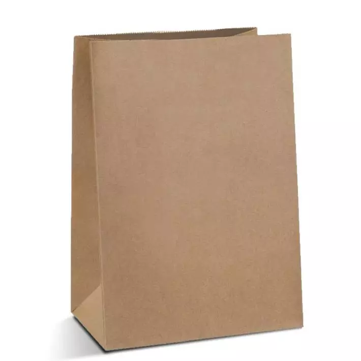 SACO KRAFT PARA DELIVERY 18X9X30CM