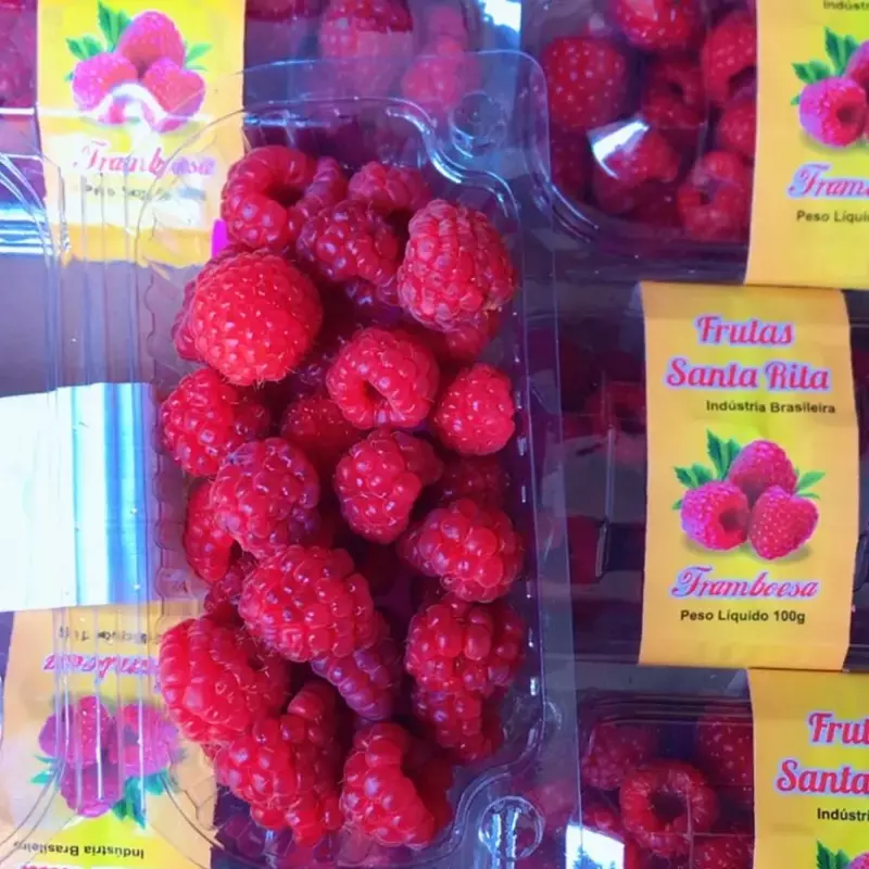 Framboesa 100g
