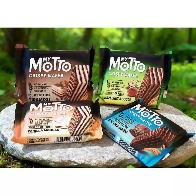 GALLETAS MOTTO