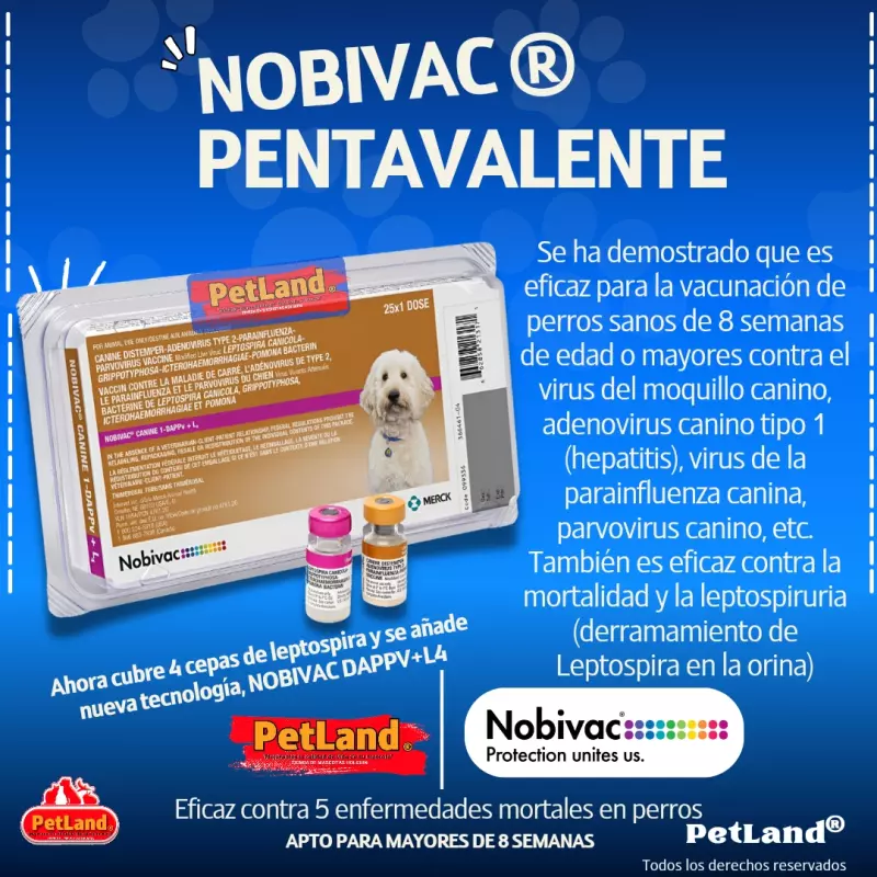 Nobivac DAPP+L4