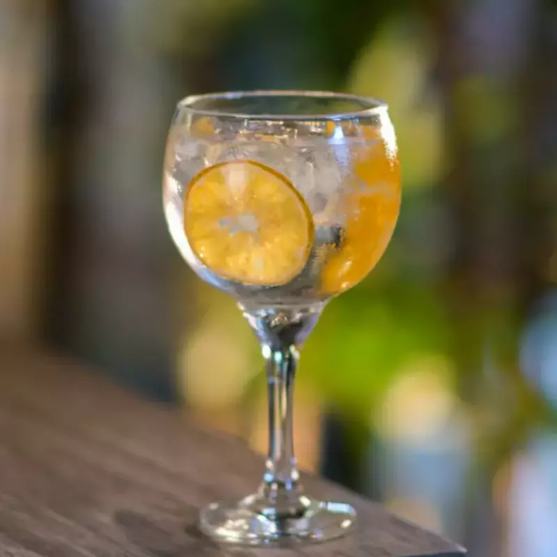 Gin de Naranja
