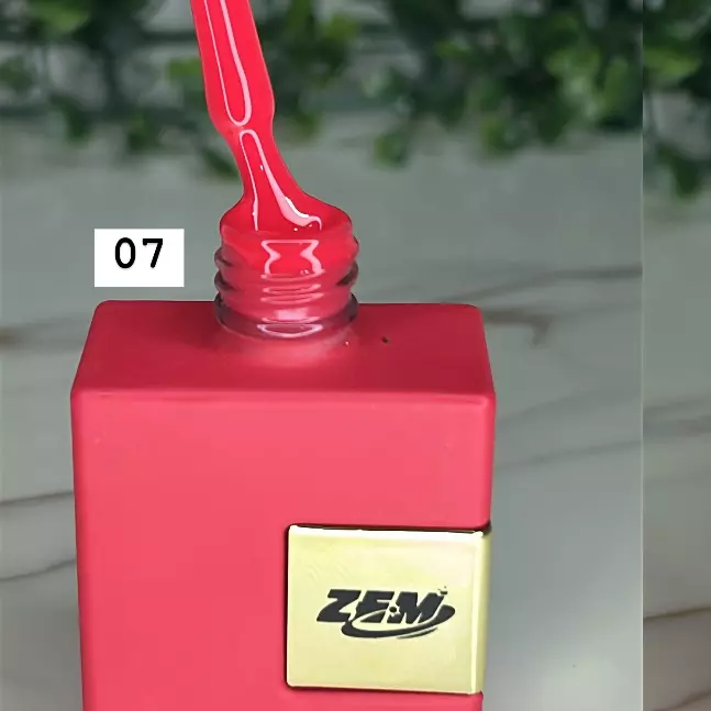 Esm.Gel Zem Novo 07