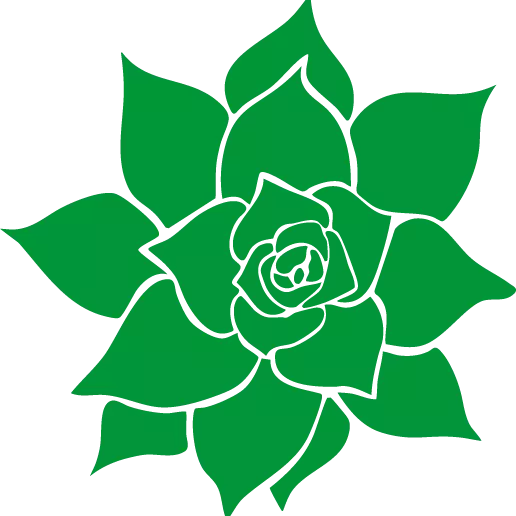 Elige tu ramo según tu presupuesto